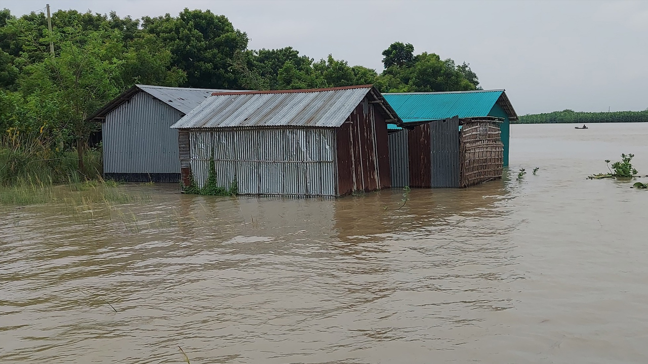 চাঁপাইনবাবগঞ্জে পদ্মা নদীতে আবারও পানি বাড়ছে