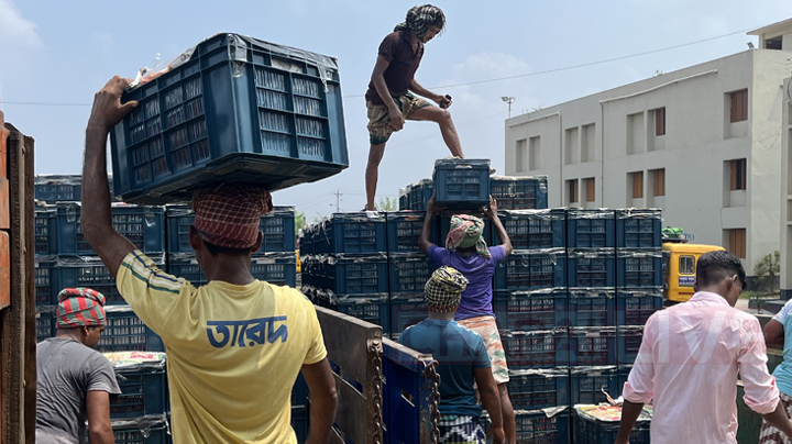 বন্দরে চলছে টমেটো খালাসের কাজ