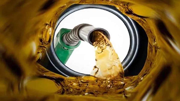 মার্চ পর্যন্ত চিন্তা নেই, আশ্বস্ত করলেন জ্বালানি প্রতিমন্ত্রী