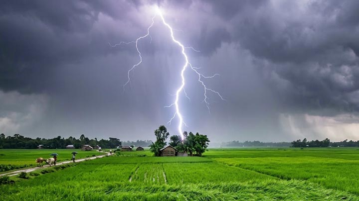 মান্দা ও ধামুইরহাটে বজ্রপাতে দুই কৃষকের মৃত্যু