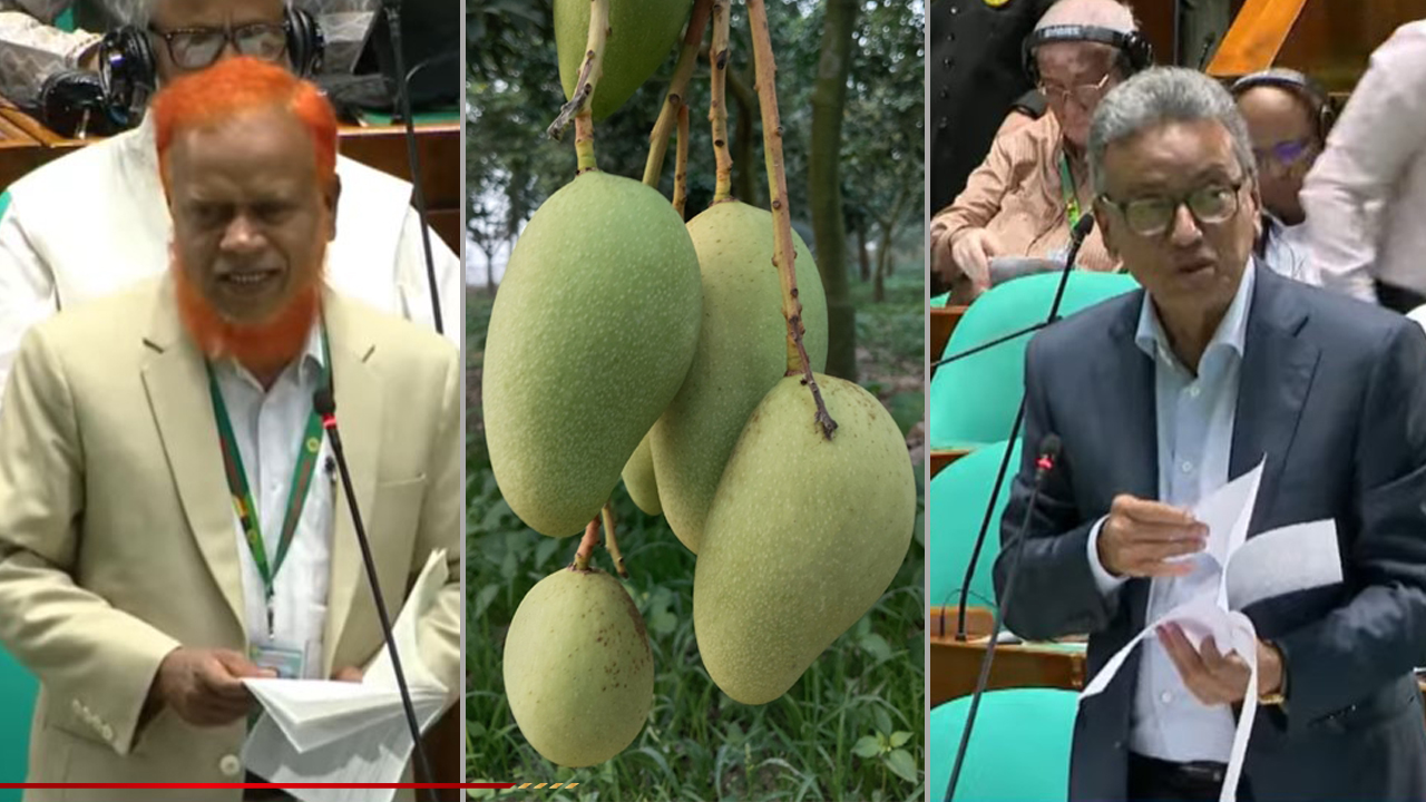 সংসদে অর্থমন্ত্রী ▪️ চাঁপাইনবাবগঞ্জের আম রপ্তানিতে বিশেষ গুরুত্ব দিচ্ছি