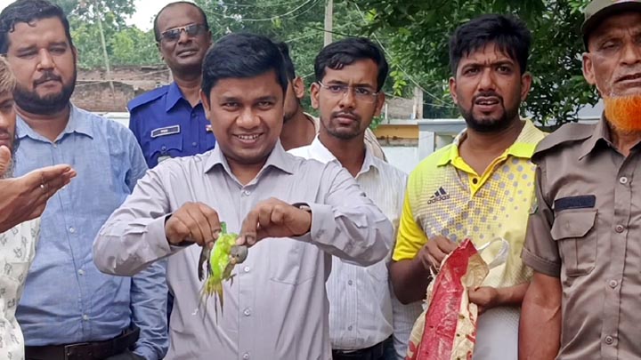 ১১ টিয়া অবমুক্ত করে ইউএনও’র হুঁশিয়ারি ‘ শিবগঞ্জে কোন পাখি শিকারি থাকবে না’