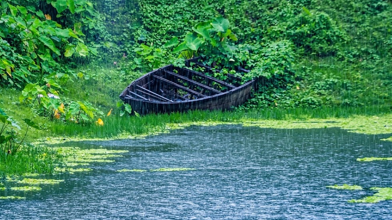 বৃষ্টিতে দৃষ্টিনন্দন হয়ে ওঠে চাঁপাইনবাবগঞ্জের প্রকৃতি
